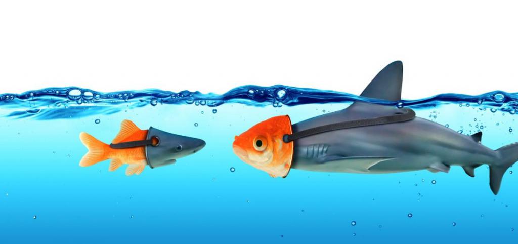 induire en erreur quel article