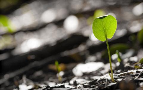 inscrivez votre propre entreprise