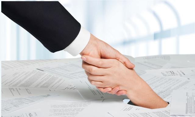 liquidation forcée de l'autorité fiscale LLC