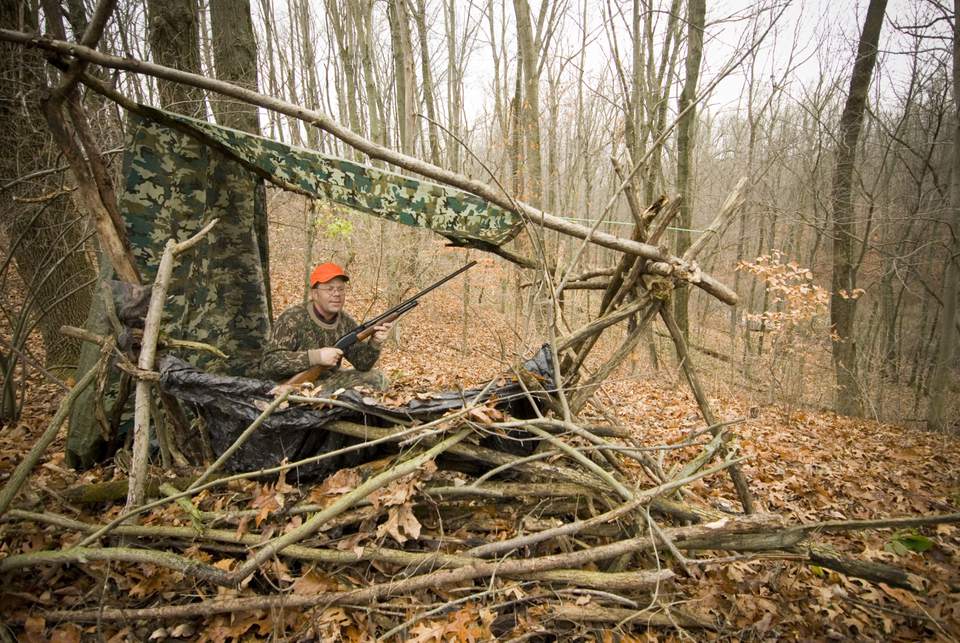 arbalètes sans prix de licence