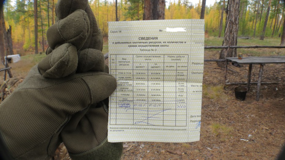 combien coûte une licence