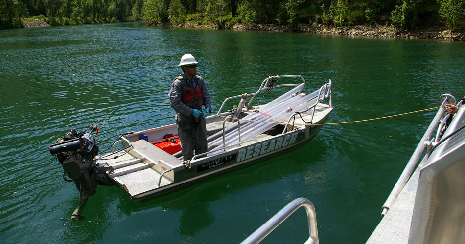 permis de petit bateau