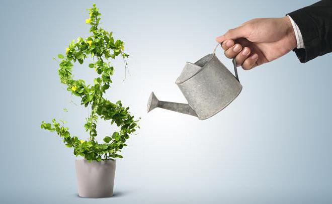 analyse de rentabilisation pour l'investissement