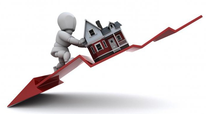 amortissement des immobilisations