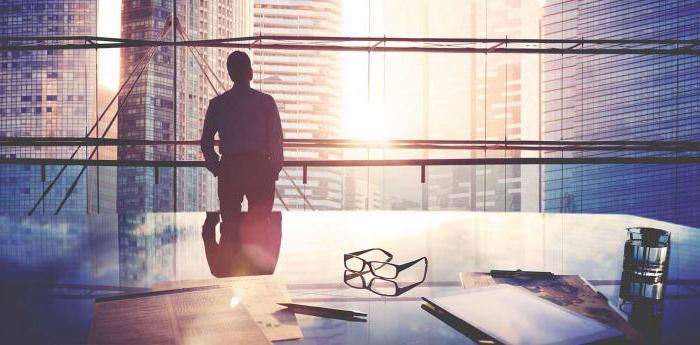 exemple de responsabilité limitée