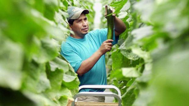 notification à l'employé à la fin du contrat de travail à durée déterminée
