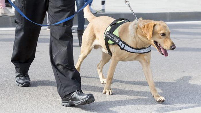 formulaire statistique