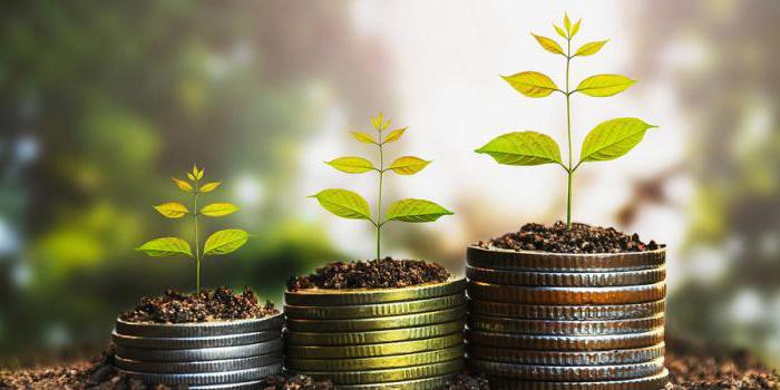 méthode de la comptabilité de caisse pour les revenus et les dépenses