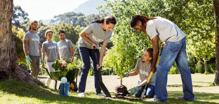 petites entreprises et organisations à vocation sociale