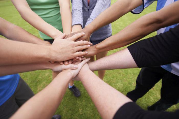 rapport d'entrepreneuriat social