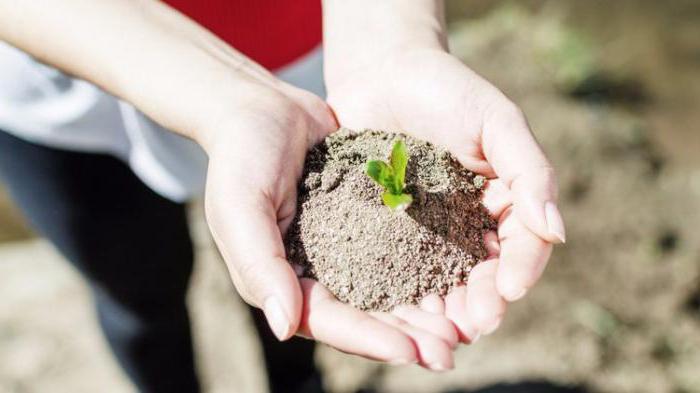 droit de l'entrepreneuriat social