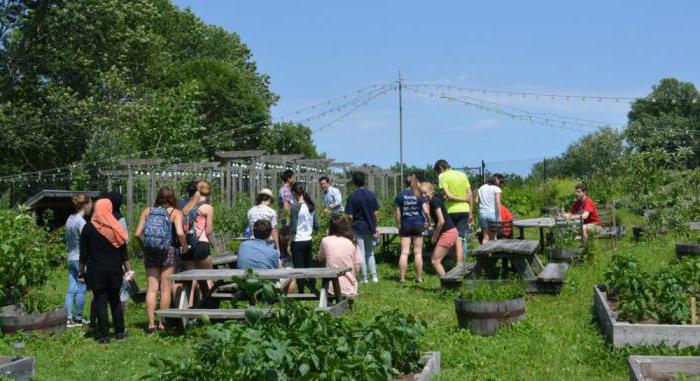 entrepreneuriat social et économique