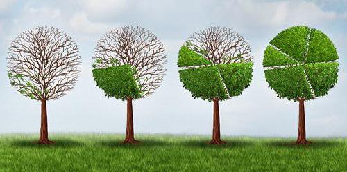 où prendre un certificat de confirmation de l'activité principale