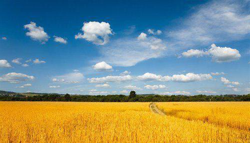 transfert de terres d'une catégorie à une autre