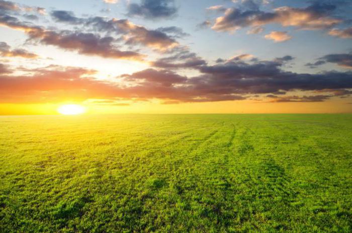 partage des terres Price