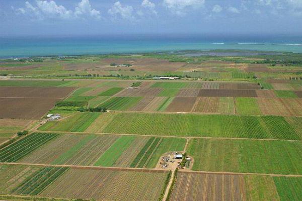 contrat de bail foncier