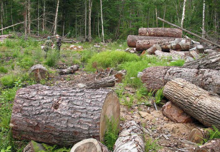 concept et objectif de la responsabilité administrative