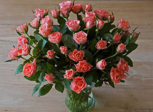 culture de roses à vendre