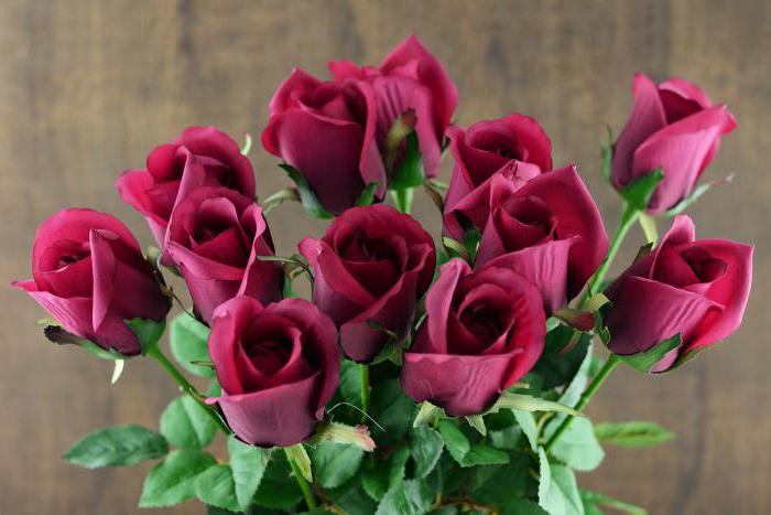 pays roses fournisseurs