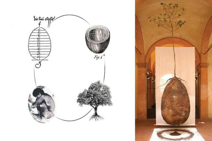 le cercueil le plus cher au prix mondial