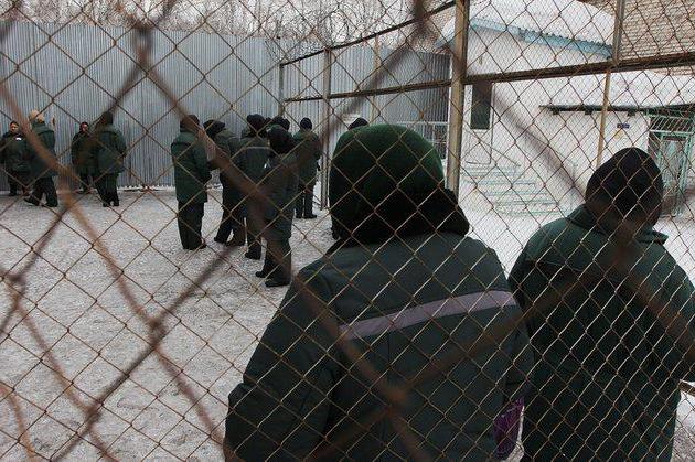 quels articles tombaient sous l'amnistie