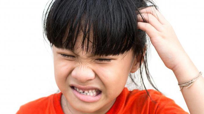 ordonnance anti-pédiculose 342