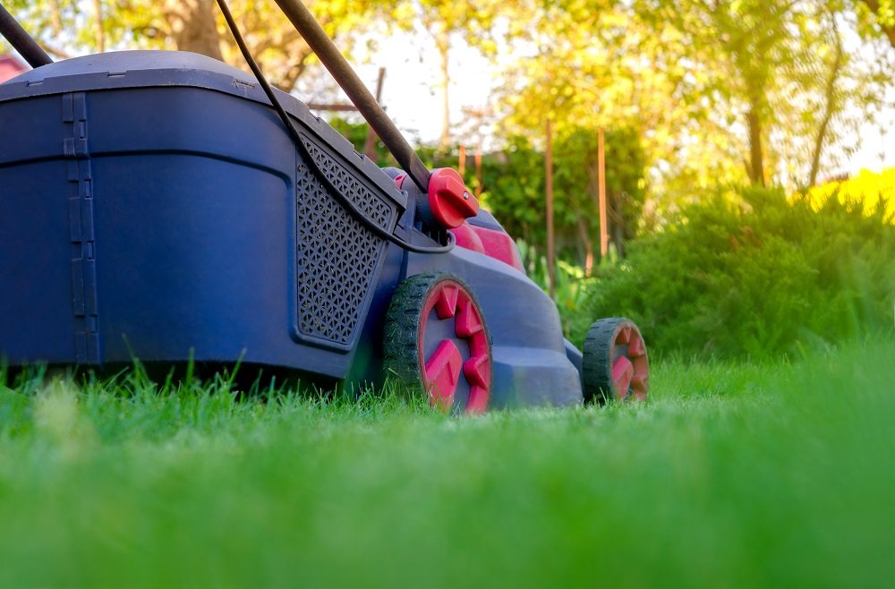 nettoyage de la cour