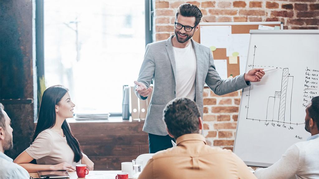 IP Manager en tant que Director chez LLC