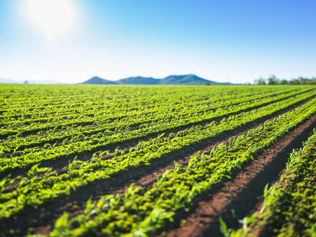 Cession de droits de bail foncier