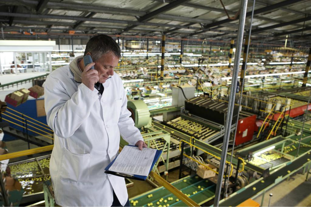 description de poste de directeur de production