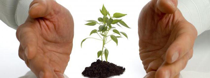 composition et structure de la propriété de l'entreprise