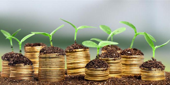 types d'investissements collectifs