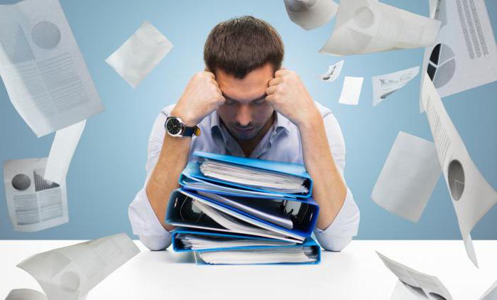 le but principal de l'audit