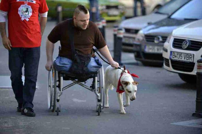 groupe de pension d'invalidité 3