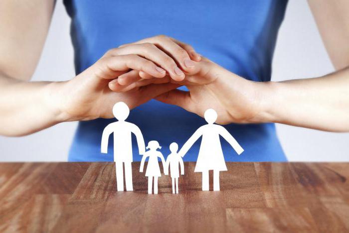 assurance vie investissement