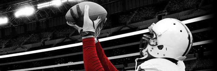 sportsbook bets on all sports