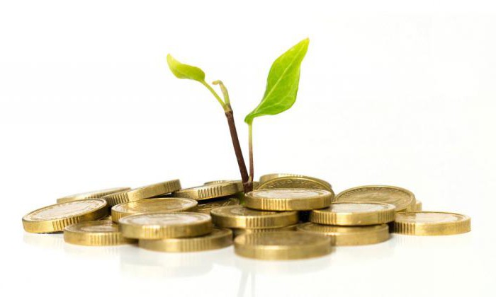 investissements leurs types principaux domaines