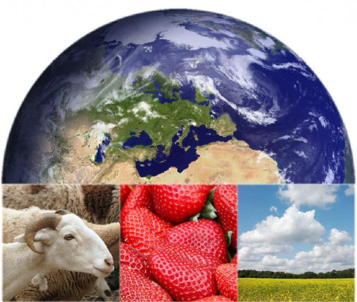 objets de gestion générale de l'environnement