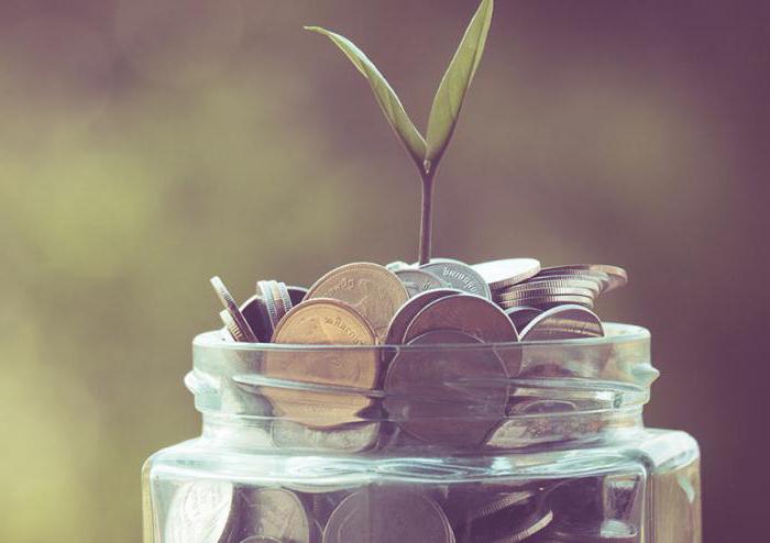 biens mobiliers particulièrement précieux d'une institution budgétaire