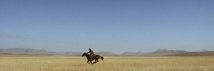 statistiques de refus de visa