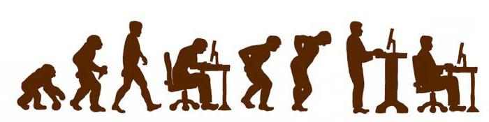 exigences ergonomiques du lieu de travail