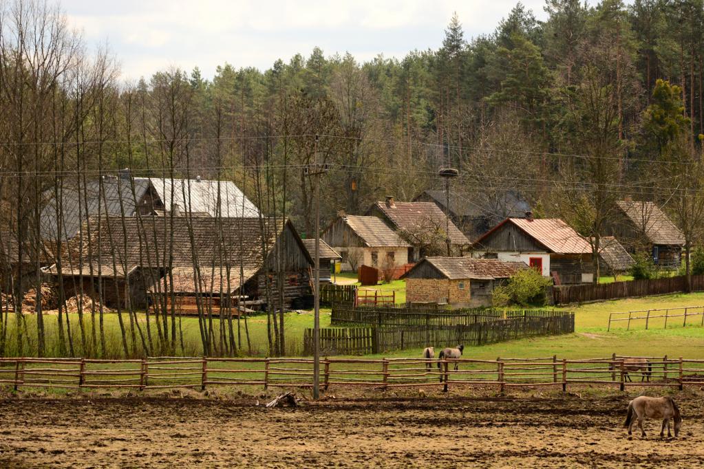 Construction résidentielle