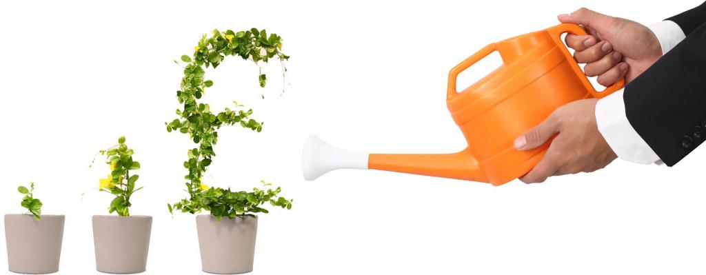 en quelle année vient la retraite par capitalisation