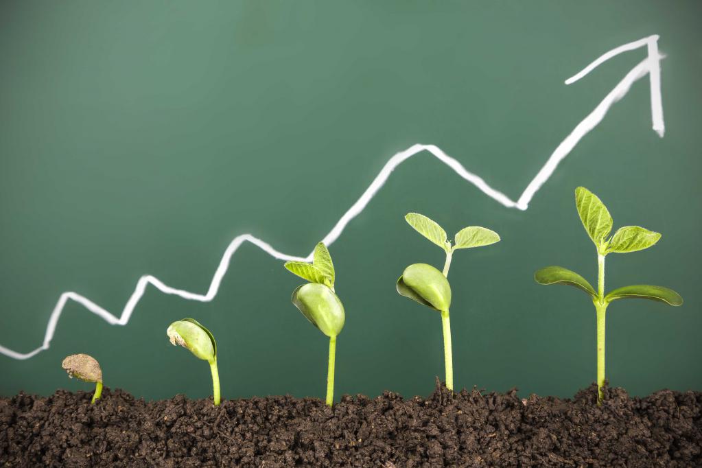 innovation d'entreprise