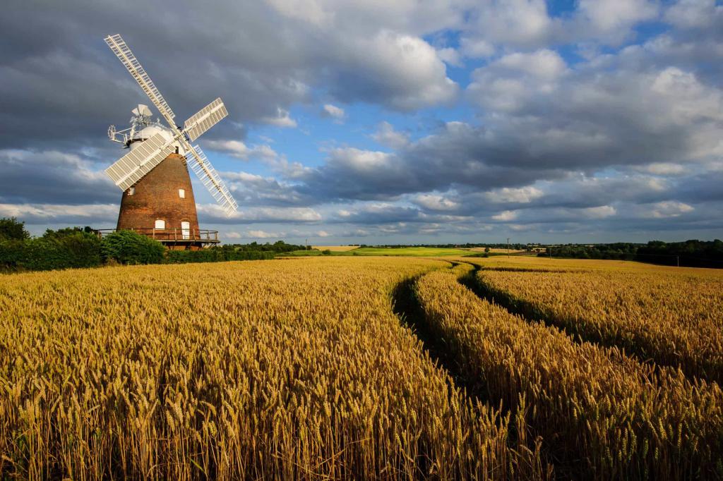 coopération agricole de la Russie