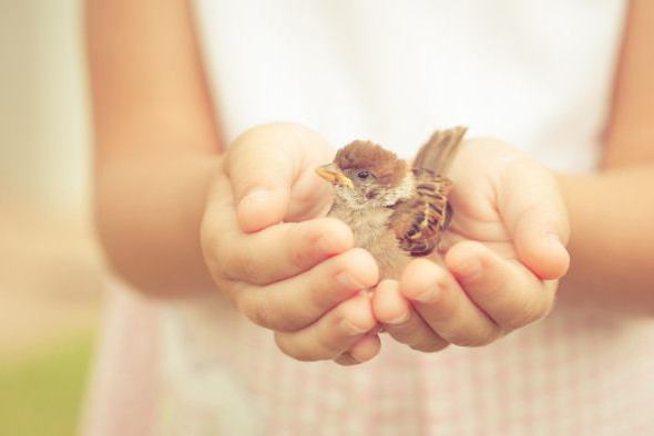 pourquoi un homme a besoin