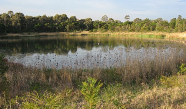 L'eau et les terrains de chasse