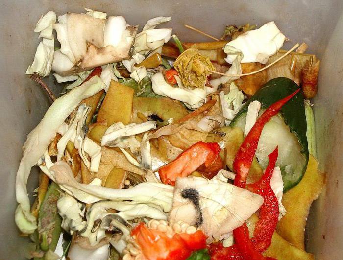 collecte des déchets biologiques