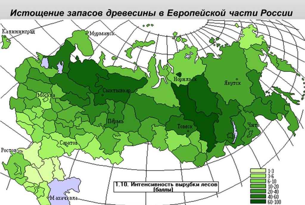 déforestation massive