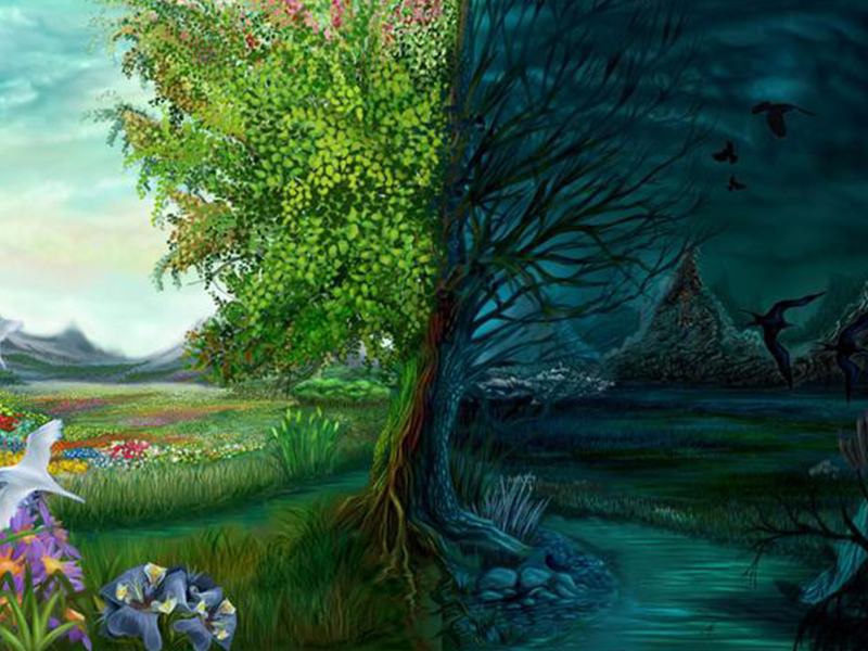 patients atteints de cancer incurable, il